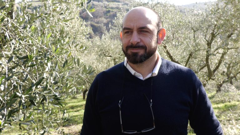 Potatura olivi e produttività: a Cartoceto Giornata sul campo – VIDEO