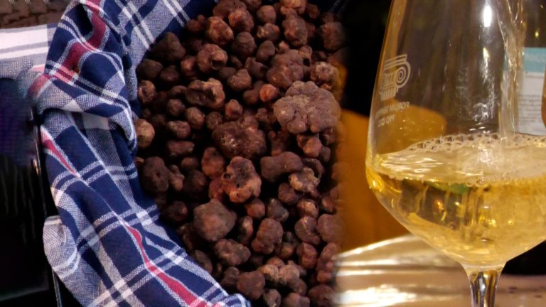 Fossombrone, grande successo per la 39ª edizione Tartufo Bianchetto e Vino Bianchello – VIDEO