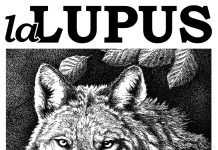 La Lupus in Fabula risponde all’assessore Santorelli: “Accuse pretestuose, restiamo un pungolo per chi governa”