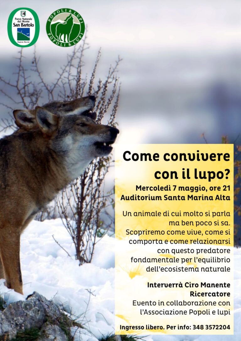 Come convivere con il lupo? Ce lo spiega Ciro Manente, tra i maggiori esperti nazionali