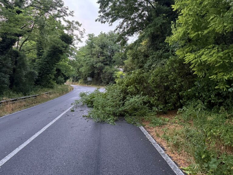 Maltempo, oltre trenta interventi della Provincia nelle strade