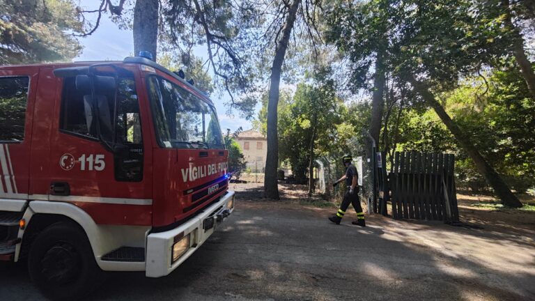 Incendio al Parco Miralfiore, intervengono i Vigili del Fuoco (FOTO)