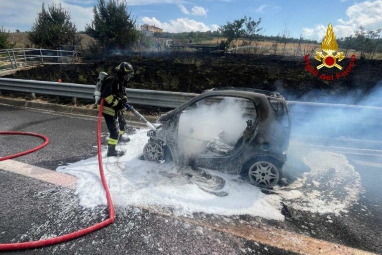 Pesaro – Incendio sull’A14: auto avvolta dalle fiamme, coinvolta anche la vegetazione (FOTO)