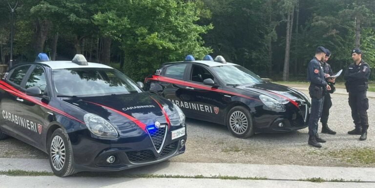 Controlli straordinari dei Carabinieri al ‘Parco Miralfiore’: sequestrati 22 grammi di hashish e 4 armi bianche