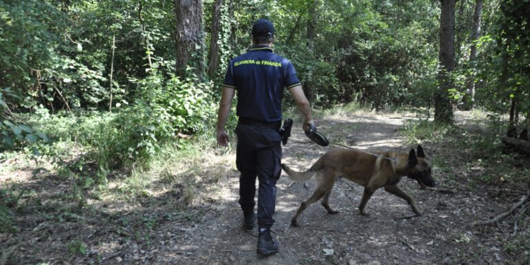 Pesaro – Controlli interforze al Parco Miralfiore, denunciato un giovane con oltre 70 grammi di hashish