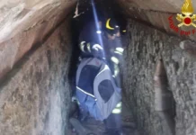 Gatto intrappolato in un bunker a Vallugola: salvato dai Vigili del Fuoco