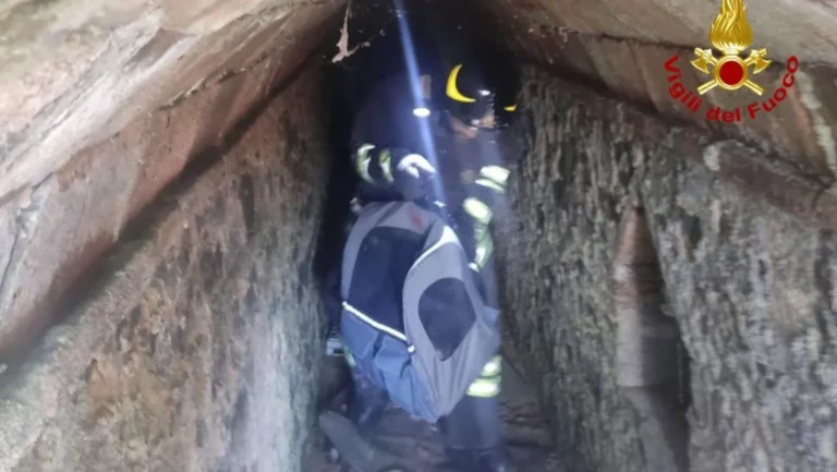Gatto intrappolato in un bunker a Vallugola: salvato dai Vigili del Fuoco