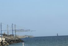 Porto di Senigallia: 90mila euro di risparmi e nuovi investimenti per illuminazione e mercato ittico