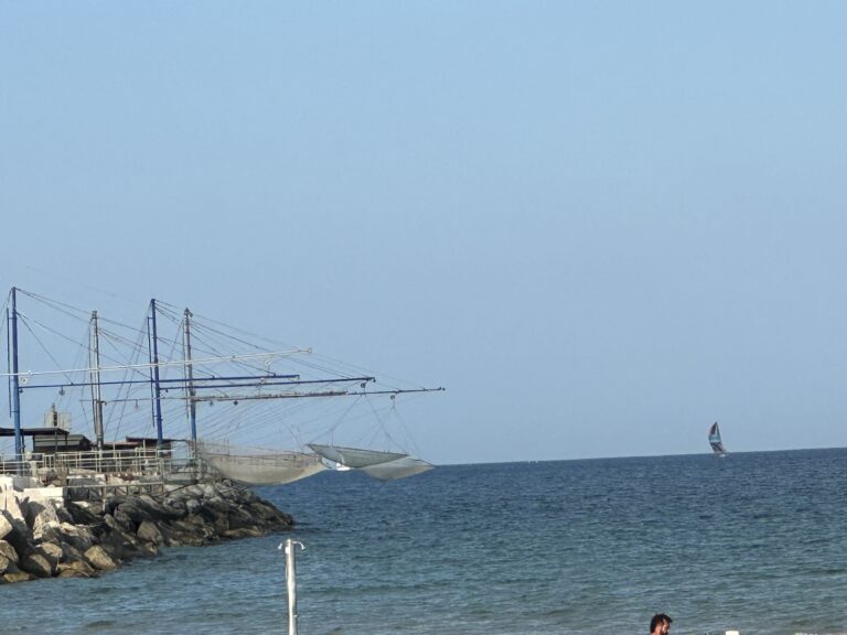 Porto di Senigallia: 90mila euro di risparmi e nuovi investimenti per illuminazione e mercato ittico