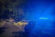 Maltempo a Fano, notte di lavoro senza sosta per rimuovere gli alberi dalle strade