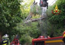 Maltempo nel pesarese: oggi 170 interventi dei Vigili del Fuoco, prosegue il lavoro di messa in sicurezza