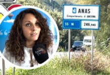 Sicurezza sulla Statale 16 Pesaro-Fano, Trufelli (Confcommercio): «Un problema che non possiamo più ignorare»