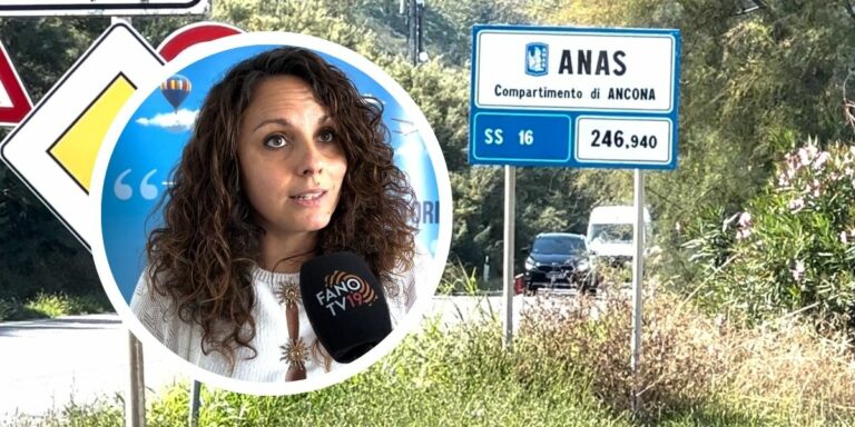 Sicurezza sulla Statale 16 Pesaro-Fano, Trufelli (Confcommercio): «Un problema che non possiamo più ignorare»