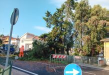 Maltempo a Vallefoglia: Protezione Civile e Ufficio Tecnico Comunale al lavoro per il ripristino della viabilità