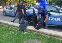 Pesaro, coppia arrestata per spaccio: in casa cocaina, bilancini e denaro contante