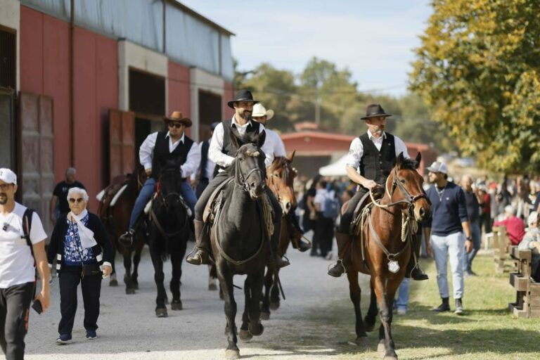 In migliaia a Cantiano Fiera Cavalli: seconda e ultima giornata domenica 19 ottobre
