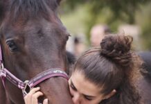 Cantiano Fiera Cavalli, domenica l’inaugurazione: ecco il programma