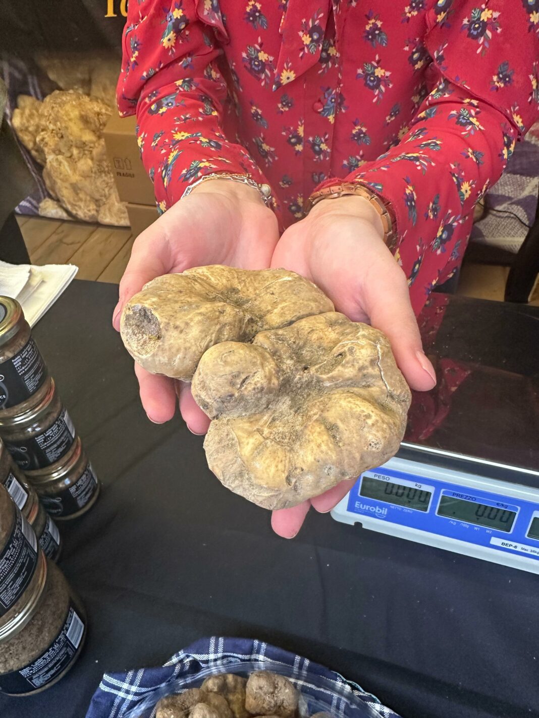 Tartufo Bianco di Sant'Angelo in Vado