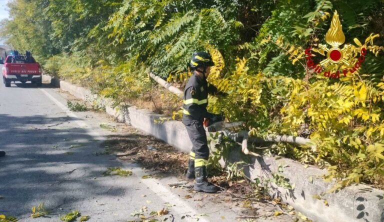 Maltempo in provincia di Pesaro-Urbino: dieci interventi dei Vigili del Fuoco per il vento forte