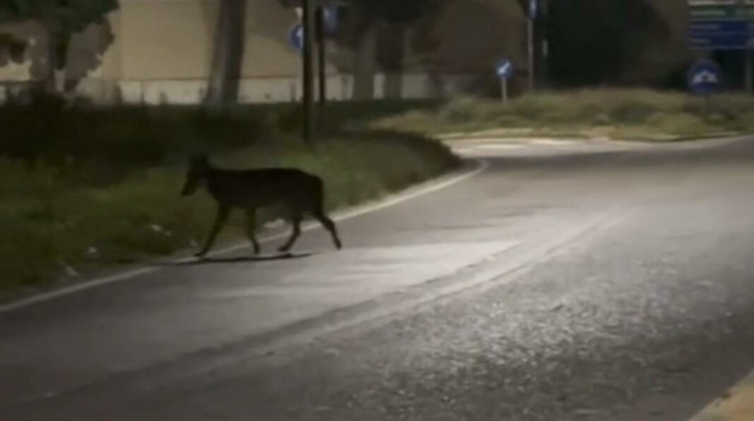 WhatsApp Image 2025-10-29 at 14.34.39