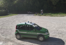 Sequestrato parcheggio abusivo nel Parco Regionale della Gola della Rossa