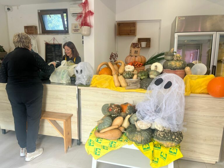 Coldiretti Marche, Halloween: è il momento della zucca tra gusto, tradizione e sostenibilità