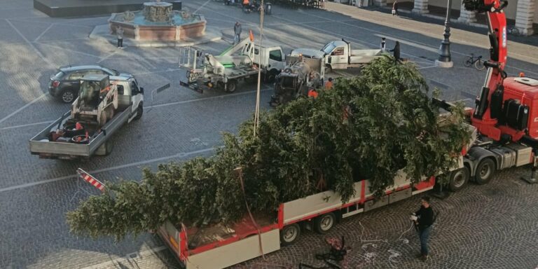 Pesaro, l’arrivo dell’abete in Piazza del Popolo: è alto 12 metri