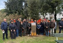 Un leccio per ricordare Vittorio Vagnini: Pesaro celebra la Giornata degli Alberi