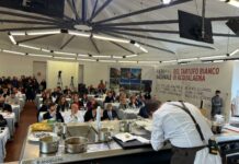 Ad Acqualagna torna il Tartufo Award: sfida tra le Città del Tartufo