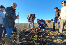 Bosco per la Vita, a Monteschiantello si piantano le nuove alberature