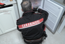 Carabinieri Ancona: 8 ordinanze di custodia cautelare per traffico di droga