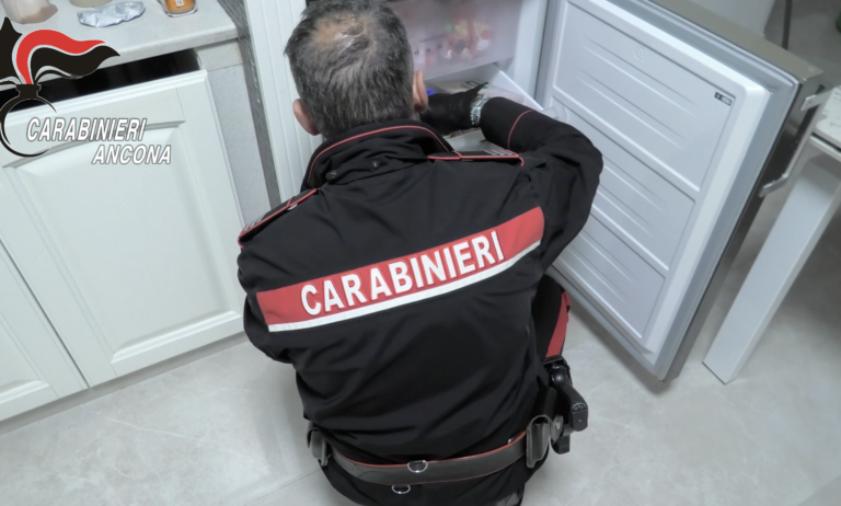 Carabinieri Ancona: 8 ordinanze di custodia cautelare per traffico di droga