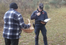 Tartufo, cani in eccesso e raccolta notturna: blitz dei Carabinieri Forestali, scattano le sanzioni