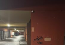 Bidoni fatti esplodere e rifiuti sparsi per tutto il parco. Ancora atti vandalici al Campus