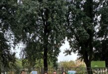 Nuovo sgambatoio al Molaroni: il Quartiere Porto-Mare ha la sua area cani