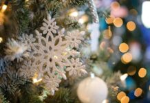 Natale 2025 a Fano: insieme per illuminare la città