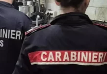 Nas di Ancona, carenze igieniche e tracce di roditori: chiuso un ristorante