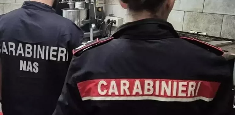 Nas di Ancona, carenze igieniche e tracce di roditori: chiuso un ristorante