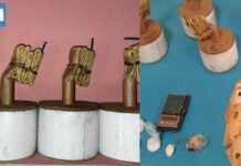 Ancona – Cocaina, hashish e bombe carta: blitz della Squadra Mobile, un denunciato