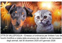 Vallefoglia, stop a botti e petardi: ordinanza del sindaco per Capodanno