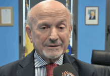 Un grande bosco urbano a Vallefoglia: il Comune chiede il sostegno di Governo e Regione