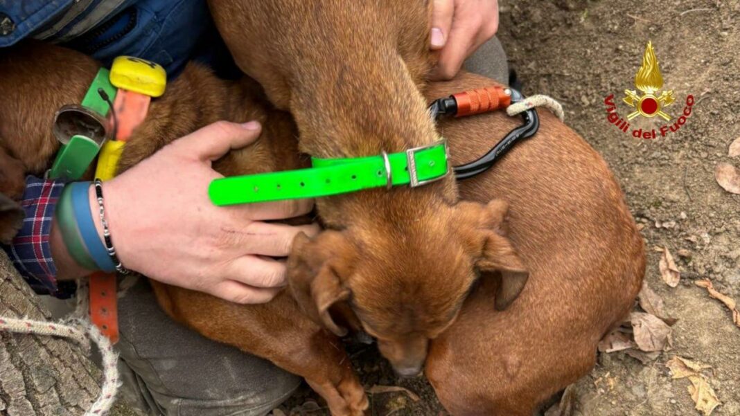 WhatsApp Image 2025-12-02 at 16.17.00 (1)