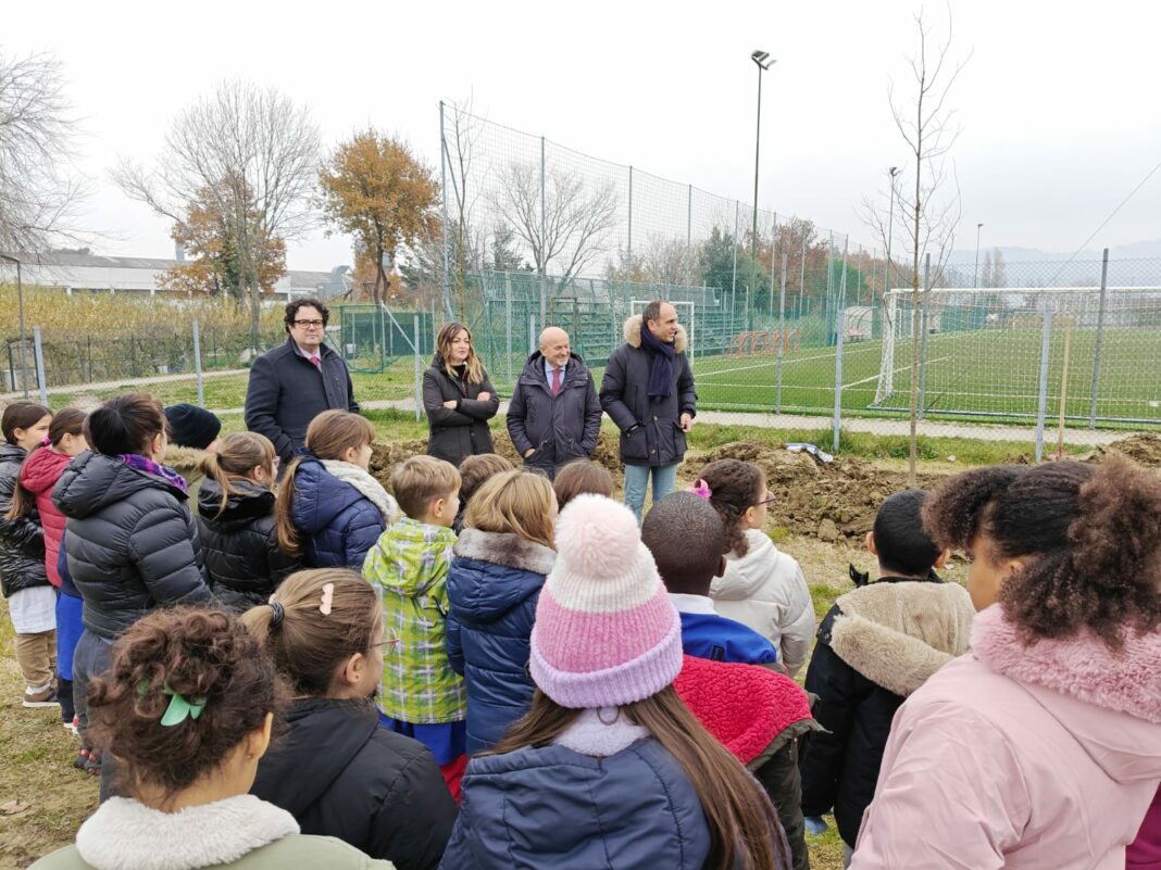 foto 1 16 dicembre 2025 albero