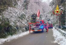 Emergenza maltempo, 320 interventi dei Vigili del Fuoco in tutta la regione. 41 nel Pesarese