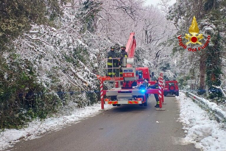 Emergenza maltempo, 320 interventi dei Vigili del Fuoco in tutta la regione. 41 nel Pesarese