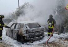 Fossombrone, incendio in via del Castellaccio: in fiamme una legnaia, coinvolta anche un’auto