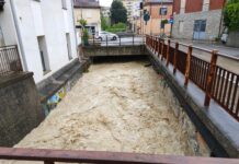 Appello di Ucchielli per interventi sui Fossi Re dei Gatti e Taccone