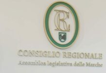 Rossi (Civici Marche): “La Regione attenziona l’emergenza lupi. Se i sindaci lo chiedono, possibili le catture”