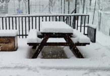 Neve in provincia, scuole chiuse in numerosi Comuni: stop alle lezioni il 7 gennaio (IN AGGIORNAMENTO)