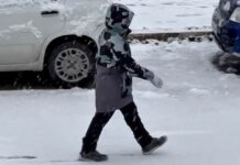 Neve in provincia di Pesaro-Urbino, domani scuole aperte (IN AGGIORNAMENTO)